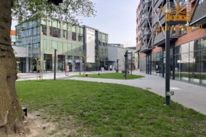 Do wynajęcia lokal 650m2, osobny budynek, Koneser