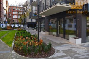 Do wynajecia lokal 42,84 m2 parter, witryna, Stalowa 39
