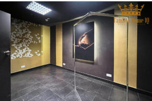 Do wynajęcia lokal 103m2, pod salom masażu, spa, śródmieście, Emilli Plater