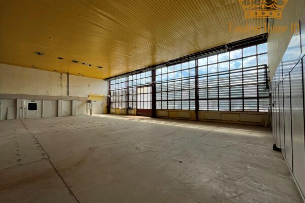 Na wynajem magazyn 332m, parter, brama, Bielany, S7